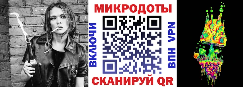 Псилоцибиновые грибы Psilocybe  Вуктыл 